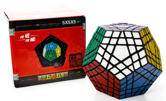 ShengShou Gigaminx | SpeedCubeShop