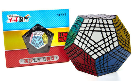 ShengShou Teraminx | SpeedCubeShop